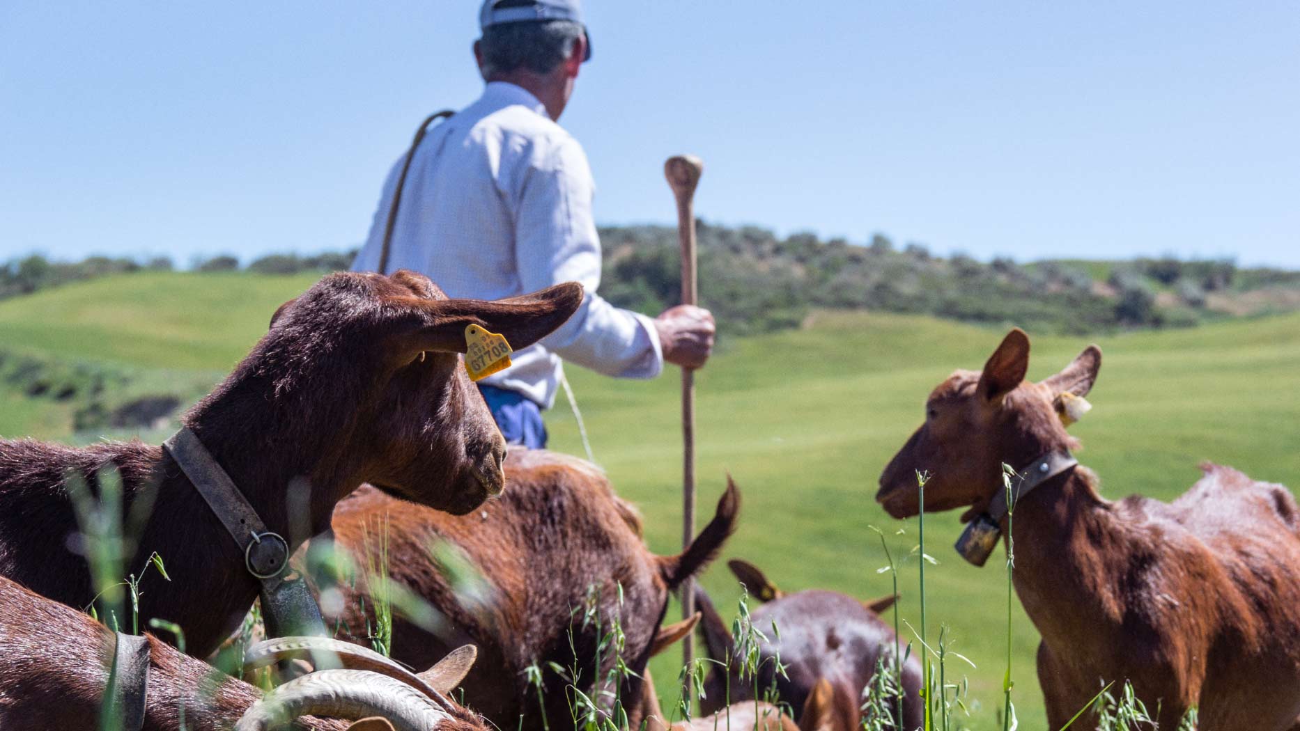 La riqueza natural de Andalucía