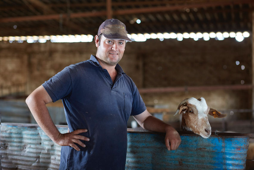 Exportación de cordero en Andalucía
